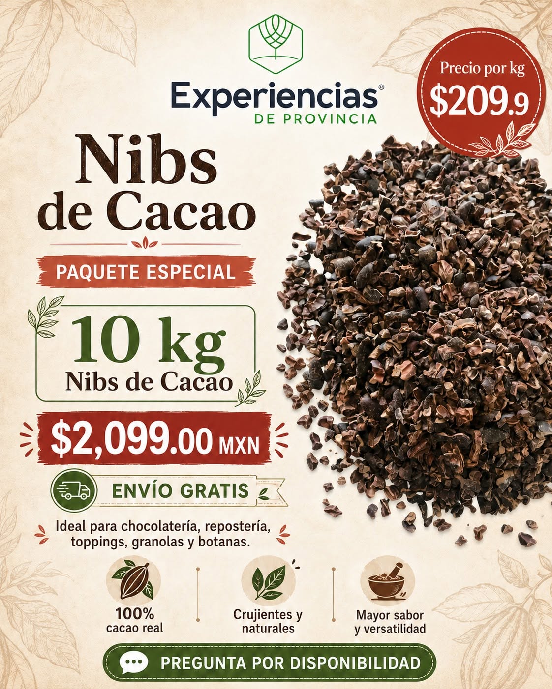 Nibs de Cacao 10 Kg (Paquete Especial)