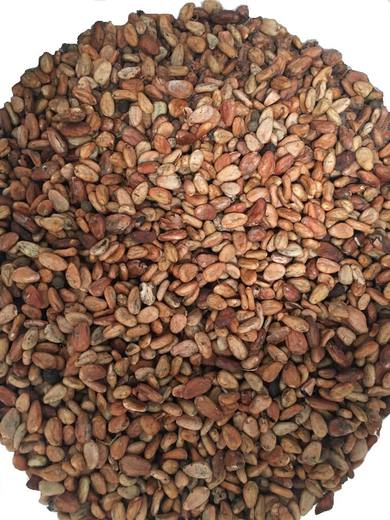 Cacao Lavado Estandar