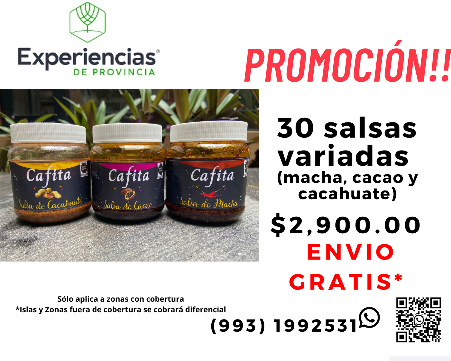 Combo de  Salsas Variadas con ENVIO GRATIS.