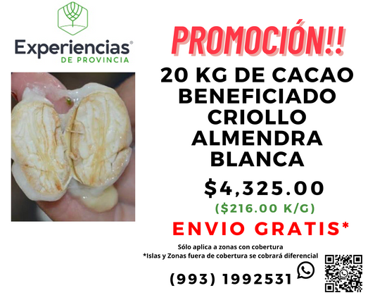 20 kg de Cacao Beneficiado Criollo Envio Gratis