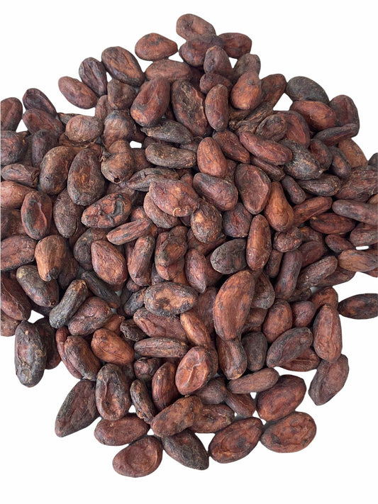 Cacao en grano Fermentado